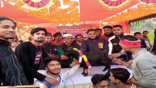 ফৈটামারী মিনি সার্কেল প্রিমিয়ার লীগ-২০২৪ এর ফাইনাল খেলা অনুষ্ঠিত