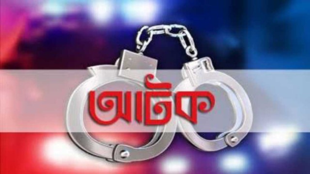 রাজিবপুরে গাঁজা গাছ সহ র্যাবের হাতে আটক ১