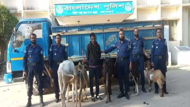 ঈশ্বরগঞ্জে গরু ছাগলসহ চোরকে আটক করেছে পুলিশ