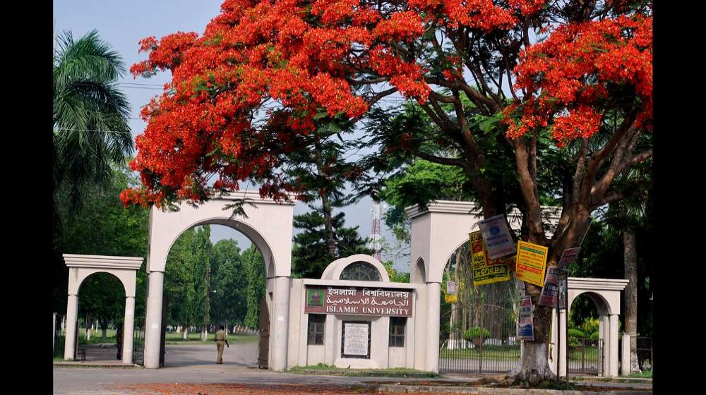 ছবিঃ সংগৃহীত