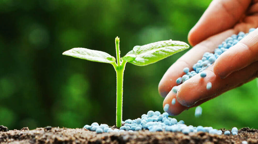 ছবি-সংগৃহীত